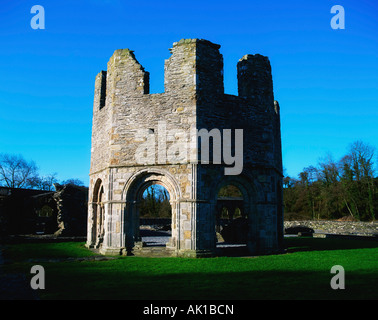 Mellifont Abbey, County Meath, Irland, Lavabo und Kapitelsaal Stockfoto