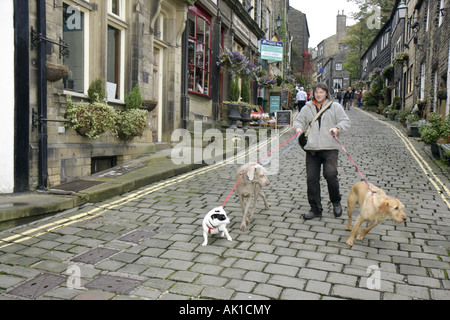 UK England North Yorkshire, Haworth, Main Street, Hundespaziergänger, Kopfsteinpflaster, Kopfsteinpflaster, Hunde, Leine, UK071014011 Stockfoto