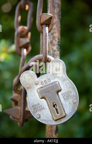 Großes Vorhängeschloss auf ein Tor in einem Park in Guildford, Surrey, England. Stockfoto