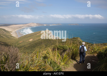 Walker am Cape Reinga Küstenweg in Te Paki Reserve und Blick auf Te Werahi Strand Beach und Cape Maria Van Diemen Punkt Stockfoto