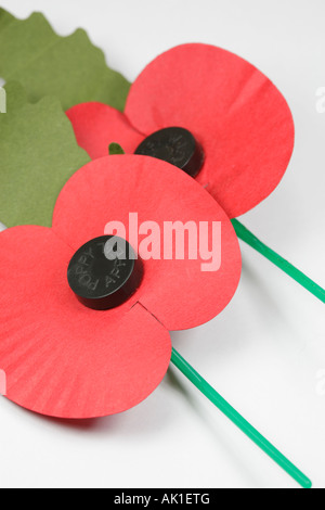 Zwei Royal British Legion Poppy Appell Poppys auf weiß. Stockfoto