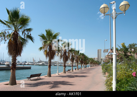 Paseo Conde de Vallellano in das Hafengebiet, Alicante, Costa Blanca, Spanien Stockfoto