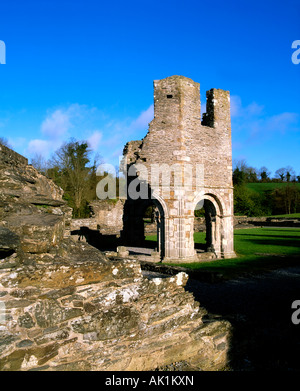 Das Lavabo & Kapitelsaal, Mellifont Abbey (1142), Co Louth, Irland Stockfoto