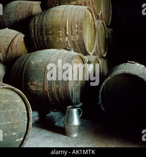 Rotwein, die Reifung in Fässern Weingut Bereich der Chianti-Region der Toskana Italien Stockfoto