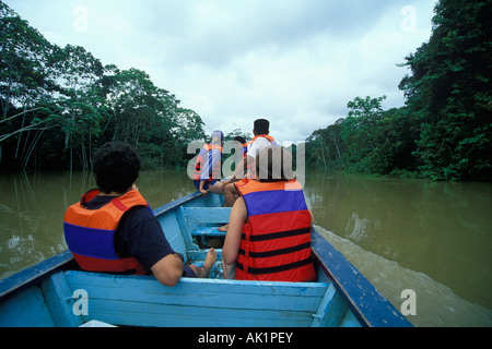 Bootfahren, ein Nebenfluss Amazonas - Nebenfluss Amazonas, Yasuni, Ecuador, Südamerika Stockfoto