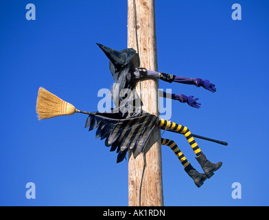 Eine Halloween-Hexe in spitzem Hut hat einen plötzlichen Stopp auf einem elektrischen Pol im Oktober Stockfoto