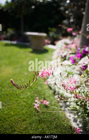 Stein-Bank im Hof mit Garten Stockfoto
