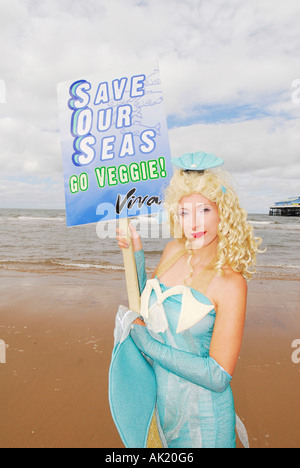 Save Our Seas Mermaid. VIVA Vegetarier International Voice für Tiere mermaid landet auf dem Strand von Blackpool, Großbritannien Stockfoto