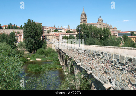 Puente Romano (römische Brücke) über den Fluss Tormes mit der Kathedrale hinter, Salamanca, Kastilien-León, Spanien Stockfoto