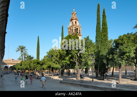 Patio de Los Naranjos auf dem Gelände der Moschee-Kathedrale (Mezquita), Córdoba, Andalusien, Spanien Stockfoto