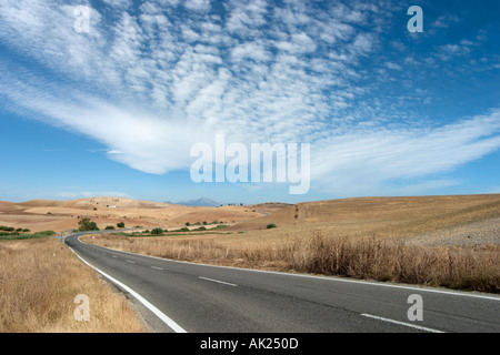 Offene Straße durch eine ländliche Landschaft in der Region von Ronda, Andalusien, Spanien Stockfoto