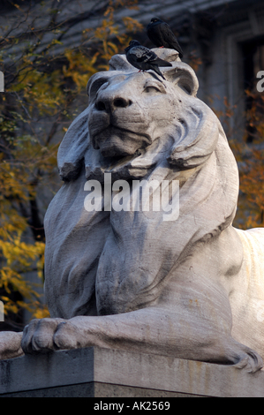 New York Manhattan Bibliothek 42 Lion vertikal Stockfoto