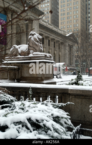 New York Manhattan Bibliothek 42 Lion Schnee vertikal Stockfoto
