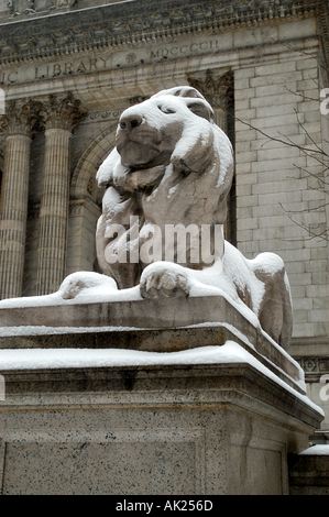 New York Manhattan Bibliothek 42 Lion vertikal Stockfoto