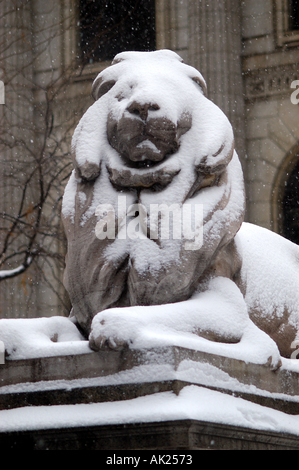 New York Manhattan Bibliothek 42 Lion vertikal Stockfoto