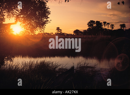 Botswana, Okavango Sümpfe, Sonnenuntergang, Stockfoto