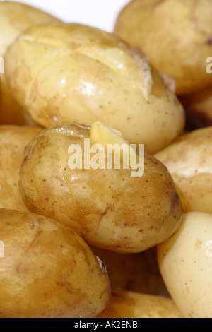 New Jersey royal Kartoffeln mit schmelzender Butter gekocht Stockfoto