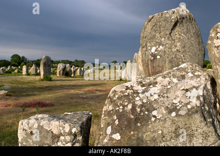 Megalithen in den späten Nachmittag kurz vor einem Sturm, Alignements de Kermario, Carnac, Bretagne, Frankreich Stockfoto