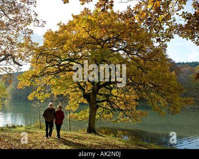 APPLYING PAARE, ROYAL FOREST OF DEAN GLOUCESTERSHIRE Stockfoto