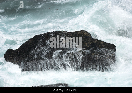 Meereswellen gegen Felsen Stockfoto
