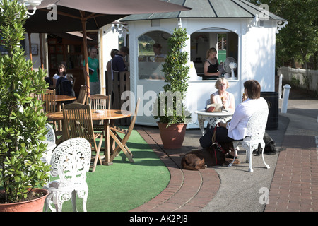 Zwei Frauen sitzen außerhalb Ar Zapfen eine Tabelle, Eis essen, Woodbridge Suffolk Stockfoto