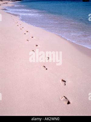 Fußabdrücke im Sand am Wasserrand, Warwick Long Bay, Warwick, Bermuda Stockfoto