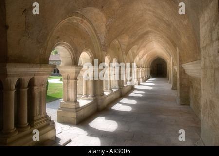 Soft-Fokus des Kloster, Abtei von Fontenay, nr Montbard, Burgund, Frankreich Stockfoto