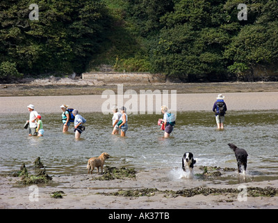 Wanderer, die bei Ebbe über den Fluss Avon watten. Süd-Devon. GROSSBRITANNIEN Stockfoto