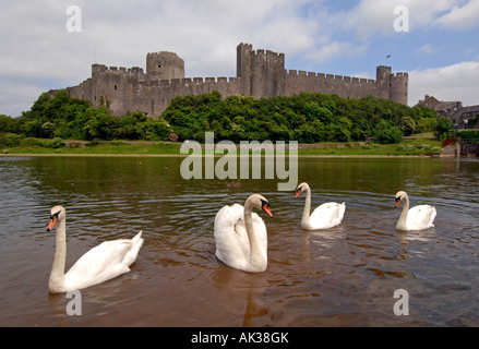 Pembroke Castle, Pembrokeshire, Westwales Stockfoto