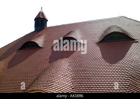 Fliesen Dächer Stare Mesto (Altstadt), Prag, Tschechien Stockfoto