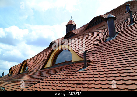 Fliesen Dächer Stare Mesto (Altstadt), Prag, Tschechien Stockfoto