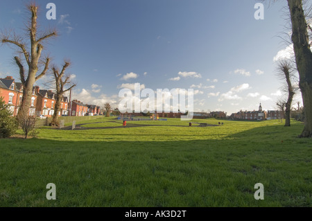 Balsall Heide Park Ladypool Straße Birmingham mit tief blauen Himmel im Hintergrund wurden die Bäume nach unten so Drogendealer gekürzt Stockfoto