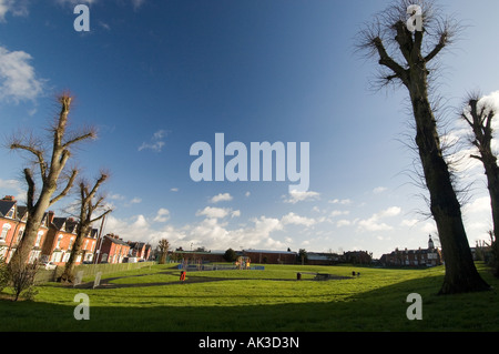 Balsall Heide Park Ladypool Straße Birmingham mit tief blauen Himmel im Hintergrund wurden die Bäume nach unten so Drogendealer gekürzt Stockfoto