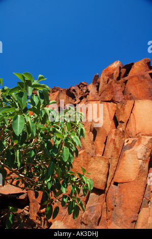 Roten Felsen und den blauen Himmel von der antiken Stätte der Aborigines der tiefen Schlucht Burrup Halbinsel Western Australia Stockfoto