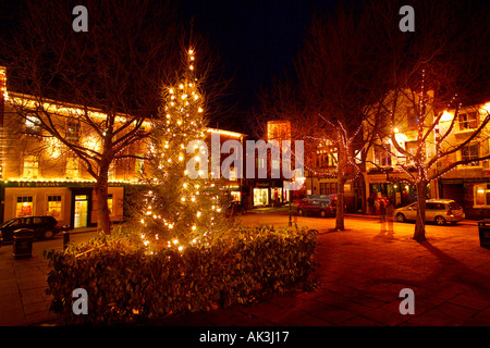St. Sampson Square bei Nacht, beleuchtet von einem großen Weihnachtsbaum. York Großbritannien Stockfoto