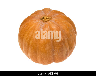 frisch geerntet Ernte Muskat squash Kürbis Kürbis MUSQUEE Stockfoto