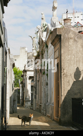 Friedhof von Recoleta, Buenos Aires Stockfoto