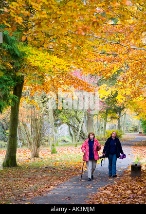 Herbstliche Farben und Wanderer in Wilton Park, Hawick, Scottish Borders Stockfoto