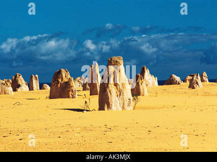 Western Australia. New Norcia-Region. Die Pinnacles Felsformationen. Stockfoto