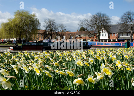 Schmale Boote in der Marina in Bancroft Gardens im Frühjahr, Stratford-upon-Avon, England, UK Stockfoto