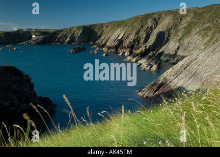 St Justinians in Wales in der Nähe von St Davids. Küsten-Ansicht mit St Davids Rettungsstation in der Ferne und einem grasbewachsenen Küsten bank Stockfoto