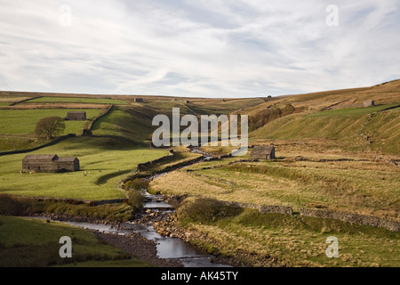 Blick auf Birkdale Common mit Fluß Senke und Hochland Bergbauernhof in Yorkshire Dales National Park England UK Großbritannien Stockfoto