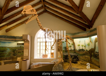 ARIZONA FLAGSTAFF Museum of Northern Arizona Pre historischen Dinosaurier-Ausstellung Stockfoto