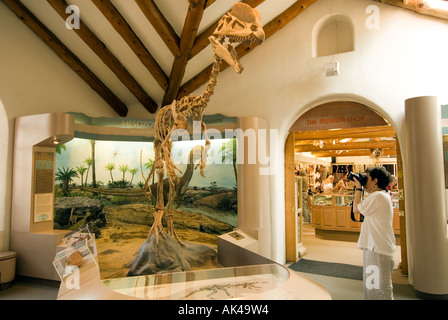 ARIZONA FLAGSTAFF Museum of Northern Arizona Woman unter Bild von Pre historischen Dinosaurier-Ausstellung Stockfoto