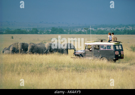 Toyota Landcruiser und Kunden in der Nähe einer Familiengruppe von Elefanten Weibchen und Kälber in der Masai Mara National Reserve Kenya Stockfoto