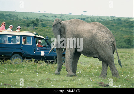 Toyota Landcruiser und Kunden in der Nähe eines männlichen Elefanten in die Masai Mara National Reserve Kenia in Ostafrika Stockfoto