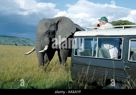 Ein Mann mit dem Fotografieren eines Elefanten aus einem Toyota Landcruiser in der Masai Mara National Reserve Kenia in Ostafrika Stockfoto