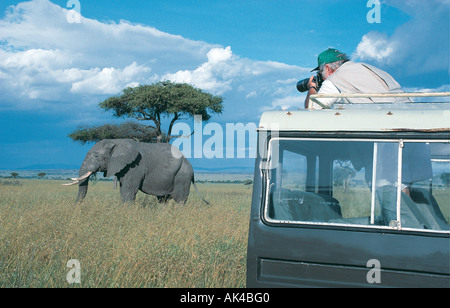 Ein Mann mit dem Fotografieren eines Elefanten aus einem Toyota Landcruiser in der Masai Mara National Reserve Kenia in Ostafrika Stockfoto