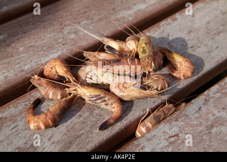 Krebse sind gepult Stockfoto