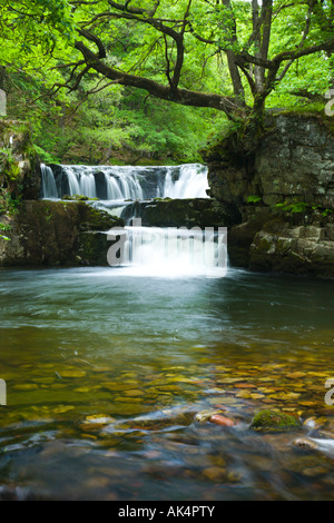 Wasserfall am Fluss Nedd Fechan Pontneddfechan Powys Wales Stockfoto